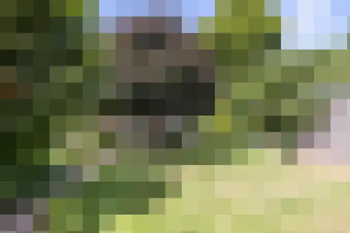 Hoofdstraat 2 Schimmert thumbnail 27