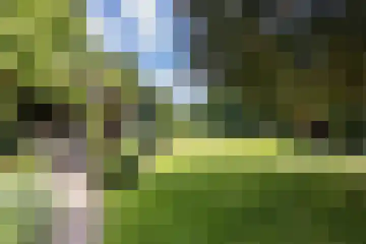 Hoofdstraat 2 Schimmert thumbnail 29