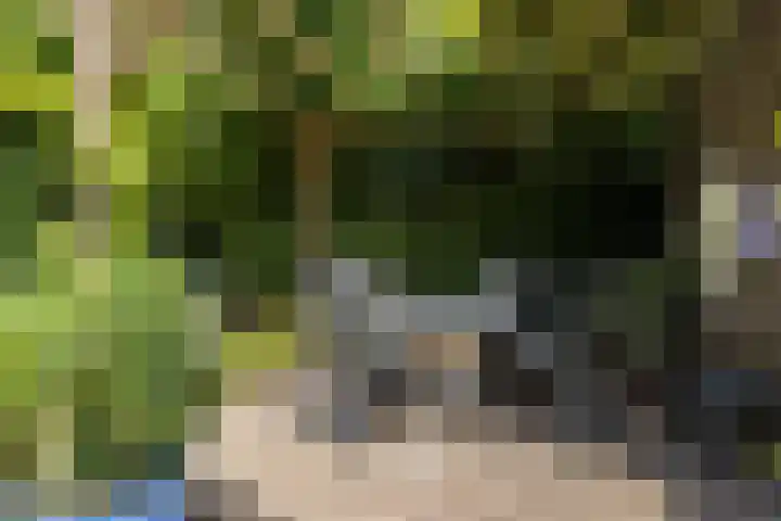 Hoofdstraat 2 Schimmert thumbnail 30