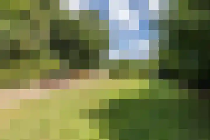 Hoofdstraat 2 Schimmert thumbnail 33