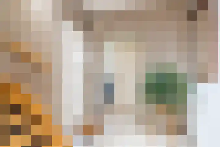 Hoofdstraat 2 Schimmert thumbnail 5