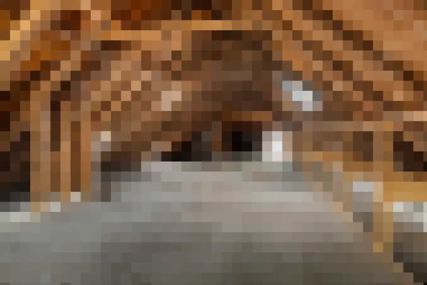 Hoofdstraat 20 Stedum thumbnail 43