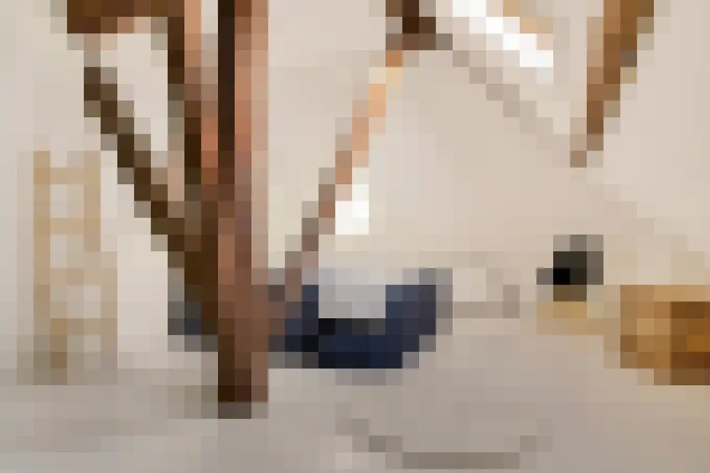 Hoofdstraat 20 Stedum thumbnail 5