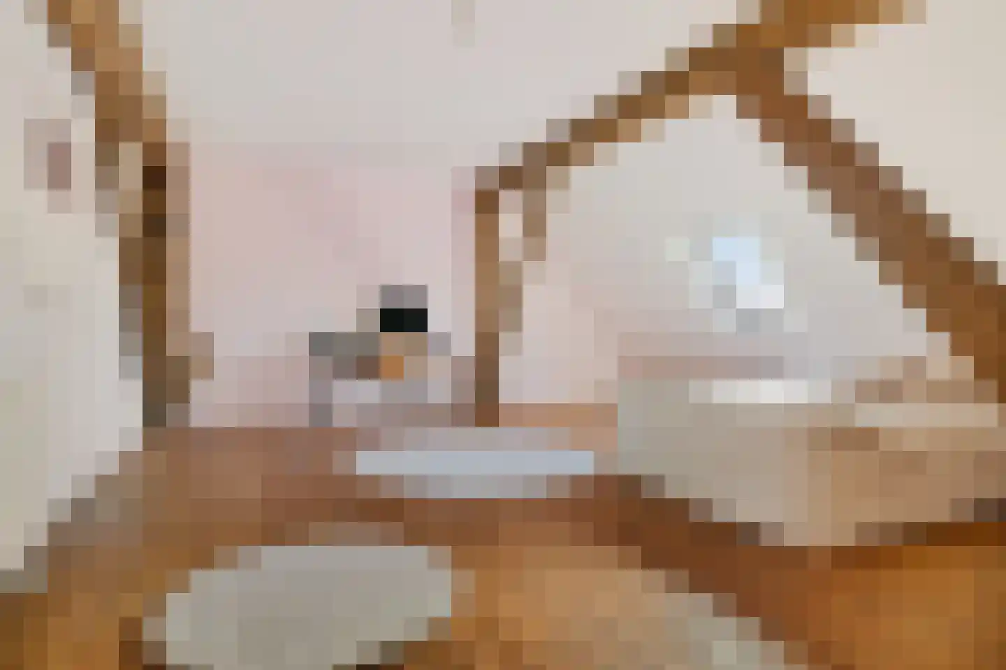Hoofdstraat 20 Stedum thumbnail 50