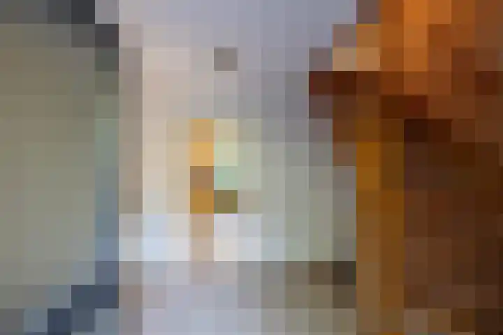 Hoofdstraat 23 a Schoonloo thumbnail 11