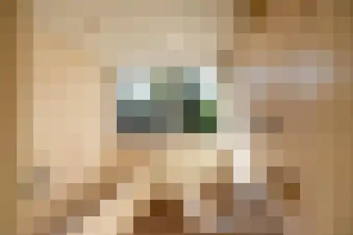 Hoofdstraat 23 a Schoonloo thumbnail 30