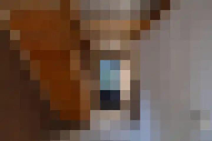 Hoofdstraat 23 a Schoonloo thumbnail 35