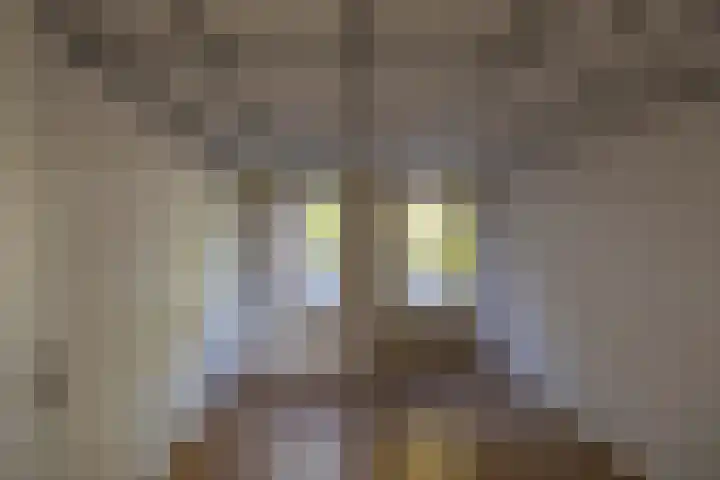 Hoofdstraat 23 a Schoonloo thumbnail 38