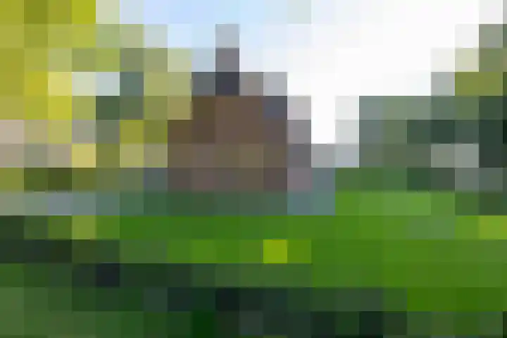 Hoofdstraat 23 a Schoonloo thumbnail 4
