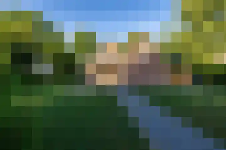 Hoofdstraat 23 a Schoonloo thumbnail 5