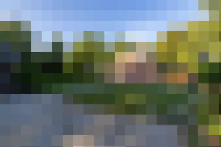 Hoofdstraat 23 a Schoonloo thumbnail 6