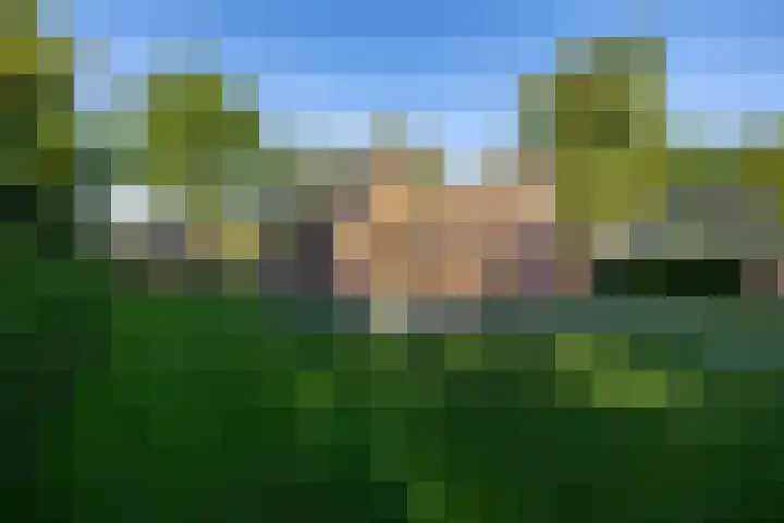 Hoofdstraat 23 a Schoonloo thumbnail 7