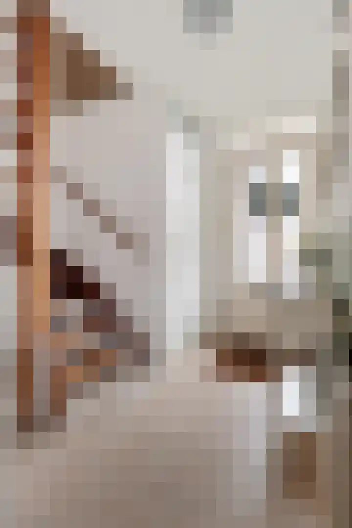 Hoofdstraat 24 Tolbert thumbnail 7
