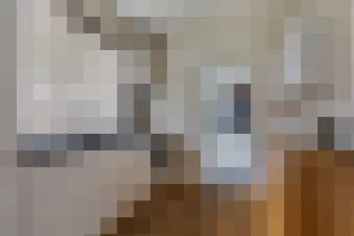 Hoofdstraat 25 Grolloo thumbnail 16