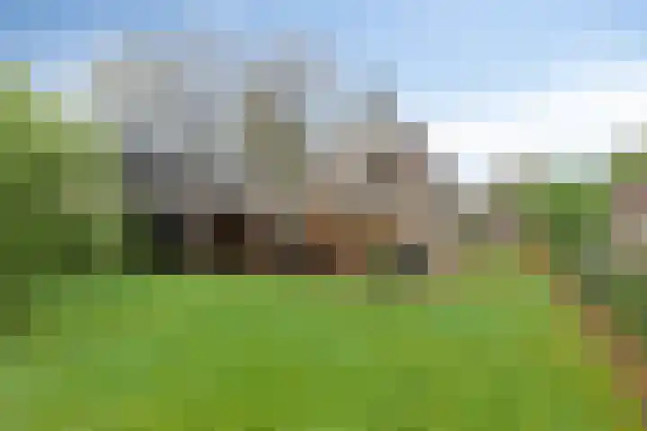 Hoofdstraat 25 Grolloo thumbnail 34