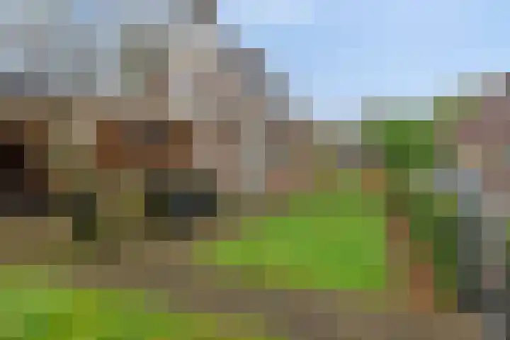 Hoofdstraat 25 Grolloo thumbnail 36