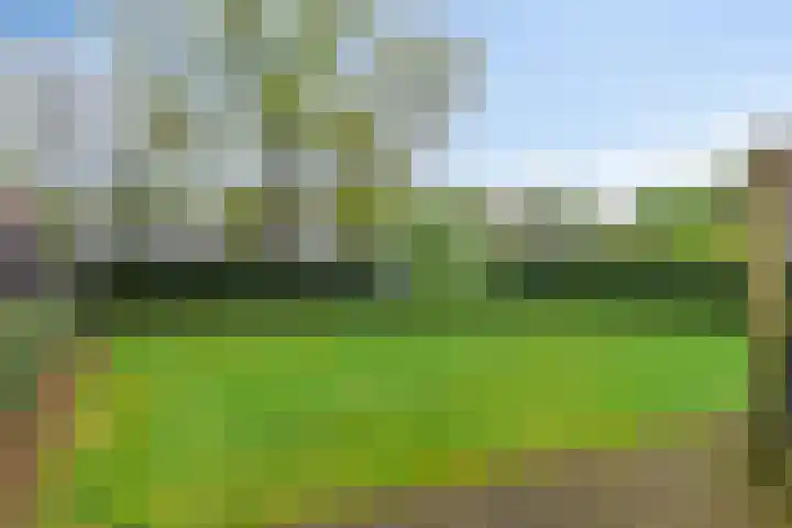 Hoofdstraat 25 Grolloo thumbnail 37
