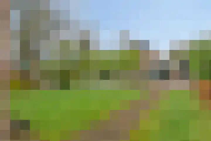 Hoofdstraat 25 Grolloo thumbnail 4