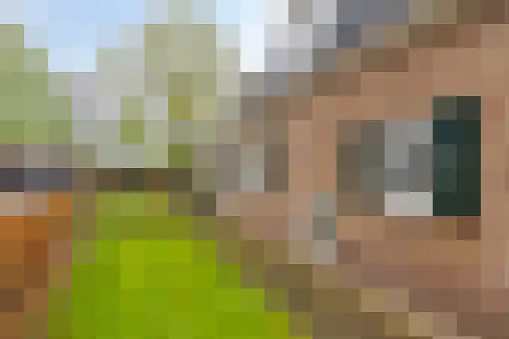 Hoofdstraat 25 Grolloo thumbnail 5
