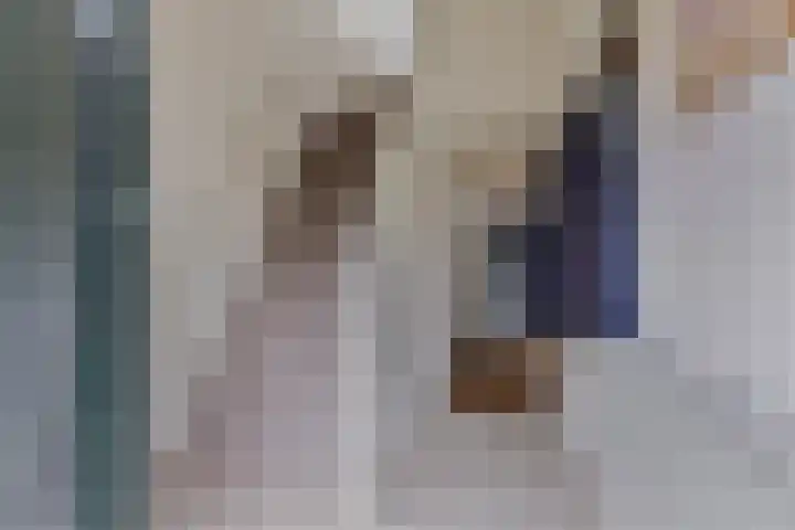 Hoofdstraat 25 Grolloo thumbnail 6