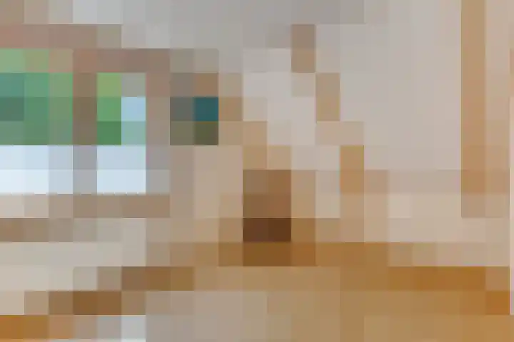 Hoofdstraat 26 Eext thumbnail 21