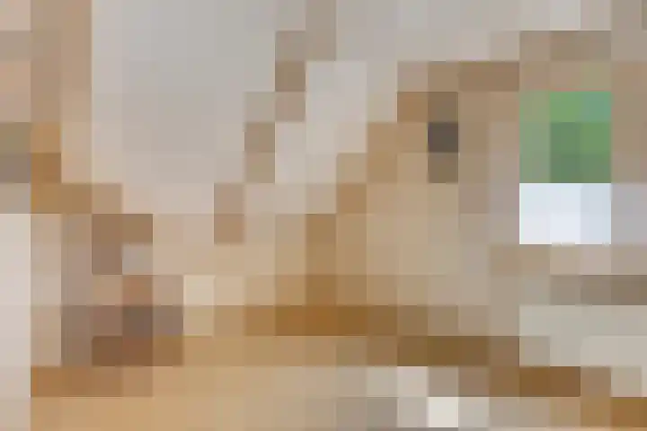Hoofdstraat 26 Eext thumbnail 22