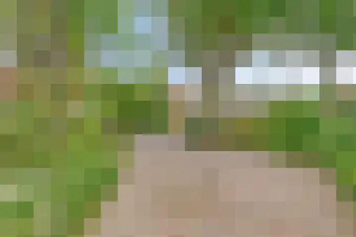 Hoofdstraat 26 Eext thumbnail 26
