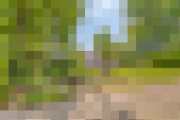 Hoofdstraat 26 Eext thumbnail 27