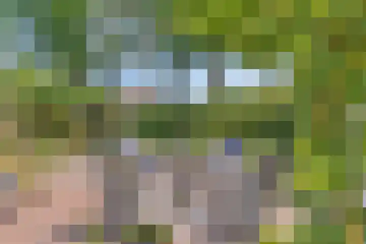 Hoofdstraat 26 Eext thumbnail 29