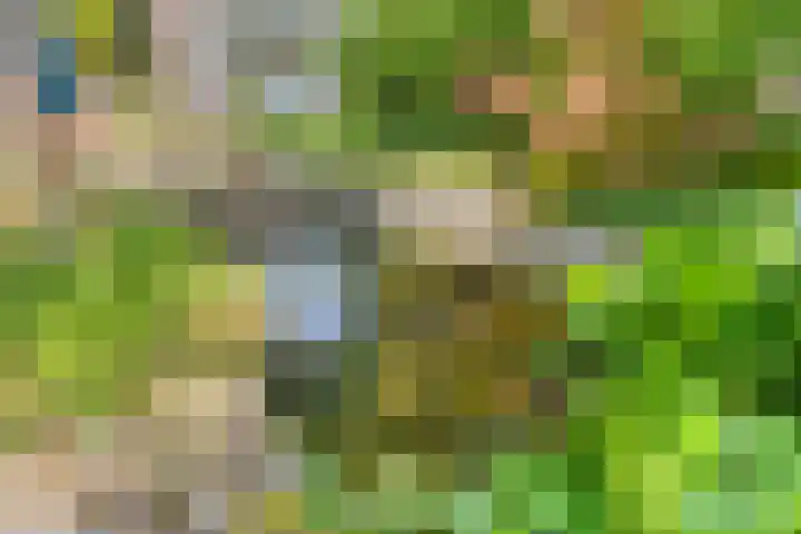Hoofdstraat 26 Eext thumbnail 30