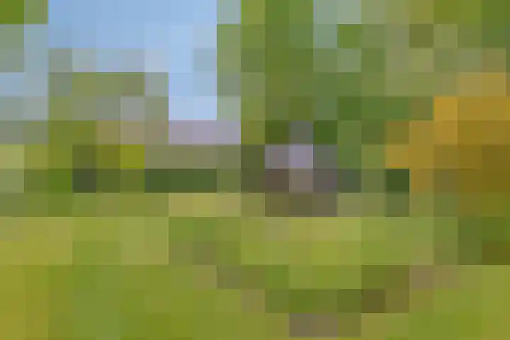 Hoofdstraat 26 Eext thumbnail 32