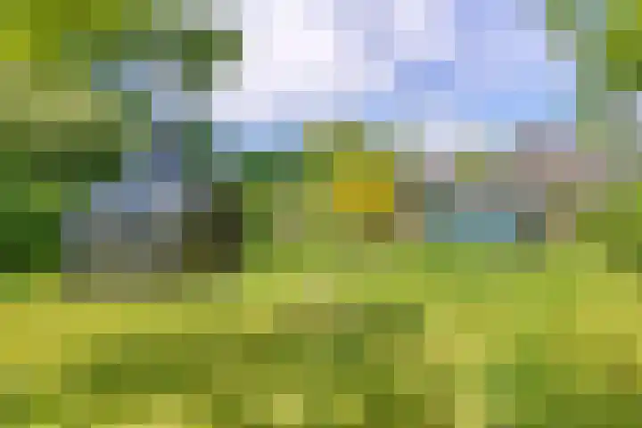 Hoofdstraat 26 Eext thumbnail 33