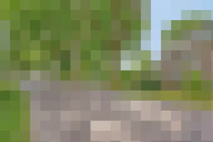 Hoofdstraat 26 Eext thumbnail 38