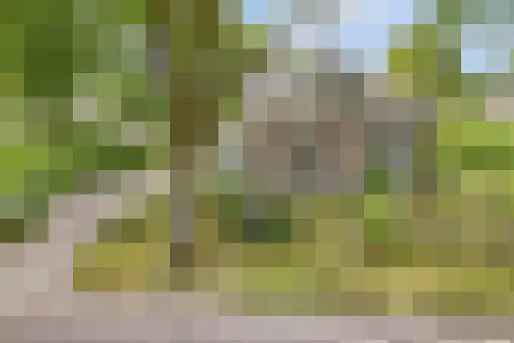 Hoofdstraat 26 Eext thumbnail 40