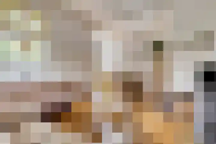 Hoofdstraat 26 Eext thumbnail 5