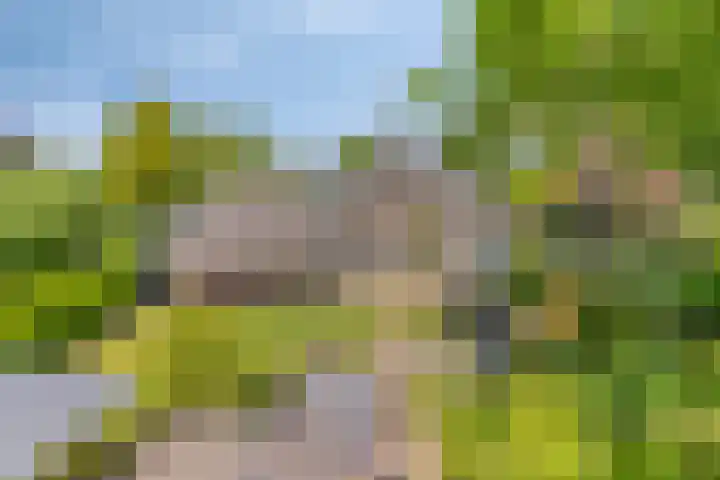 Hoofdstraat 26 Eext thumbnail 50