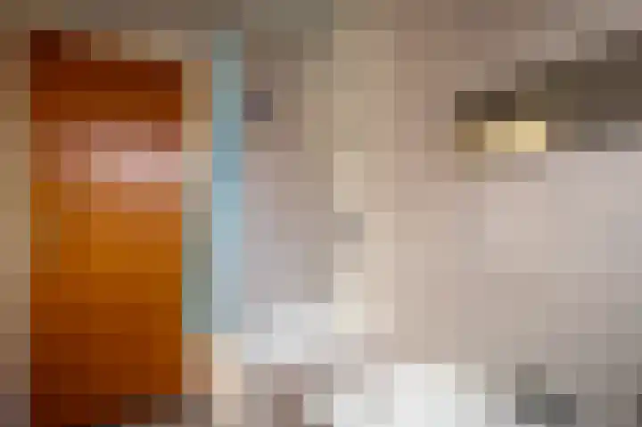 Hoofdstraat 299 Beerta thumbnail 23
