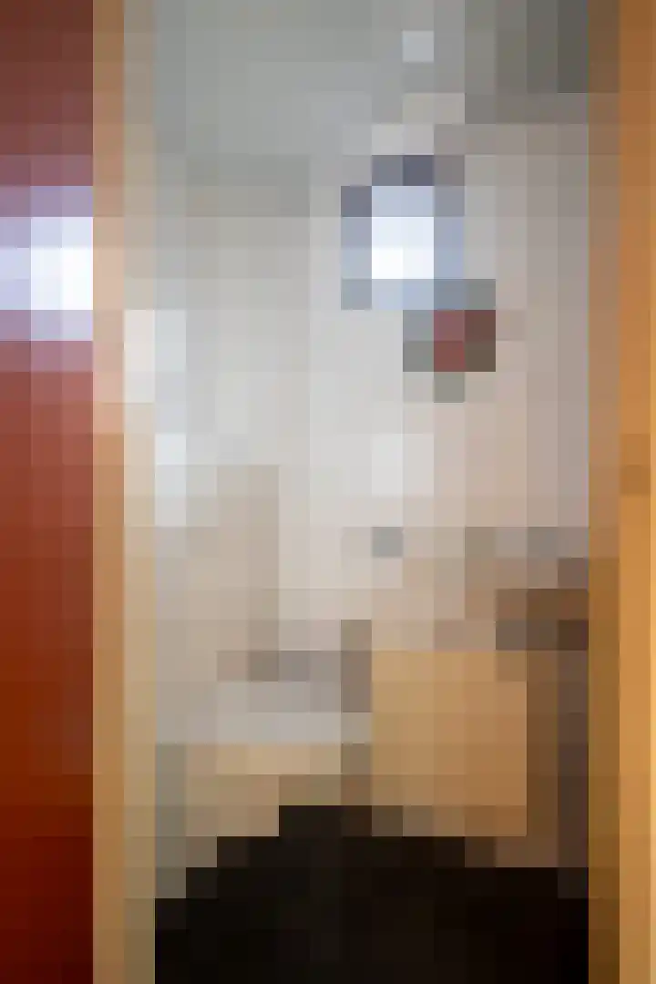 Hoofdstraat 299 Beerta thumbnail 25
