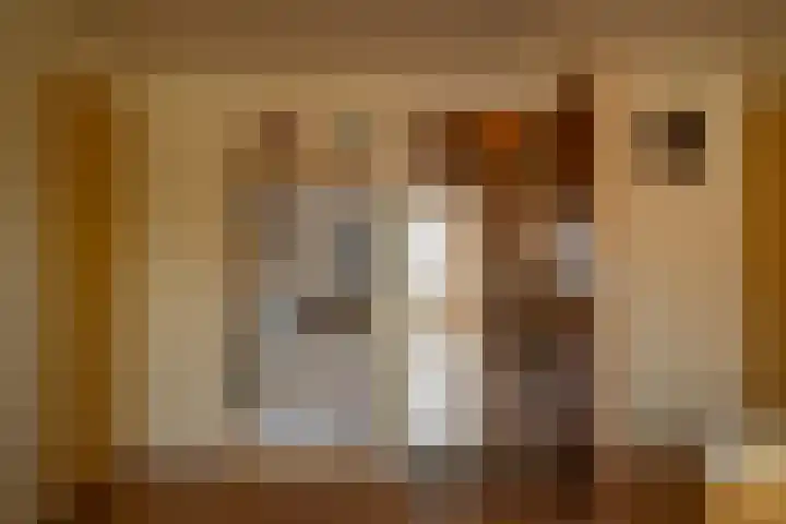 Hoofdstraat 299 Beerta thumbnail 31
