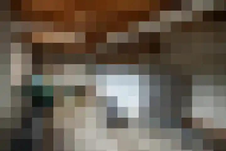 Hoofdstraat 299 Beerta thumbnail 41