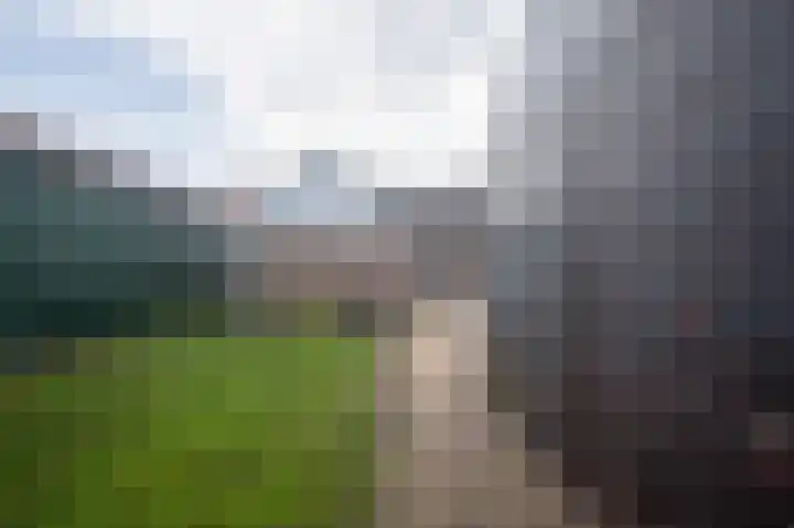 Hoofdstraat 299 Beerta thumbnail 46