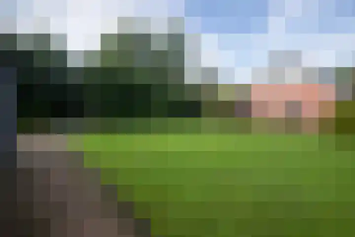 Hoofdstraat 299 Beerta thumbnail 53