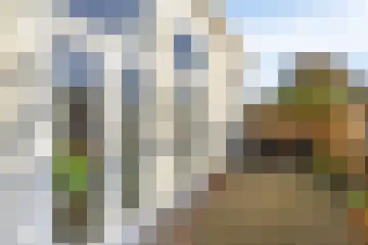 Hoofdstraat 32 Oostwold thumbnail 28