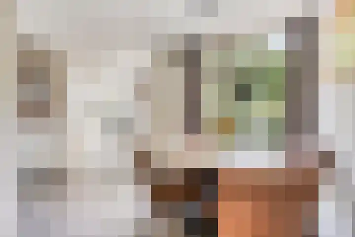 Hoofdstraat 37 Andelst thumbnail 17