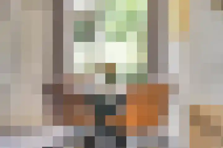 Hoofdstraat 37 Andelst thumbnail 18