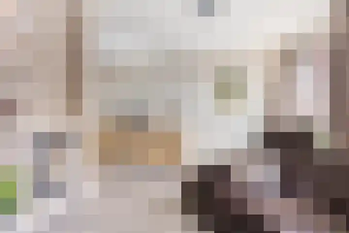 Hoofdstraat 37 Andelst thumbnail 22