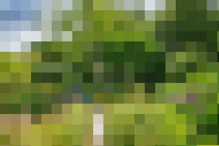 Hoofdstraat 37 Lottum thumbnail 33