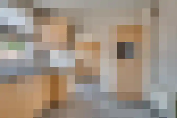 Hoofdstraat 37 Lottum thumbnail 9