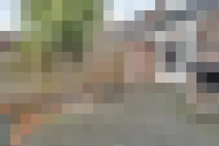 Hoofdstraat 40 Wolphaartsdijk thumbnail 32