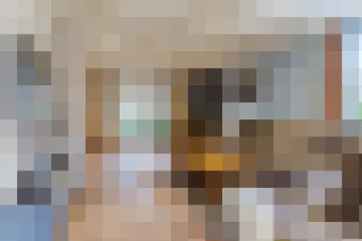 Hoofdstraat 44 Hoogeloon thumbnail 12